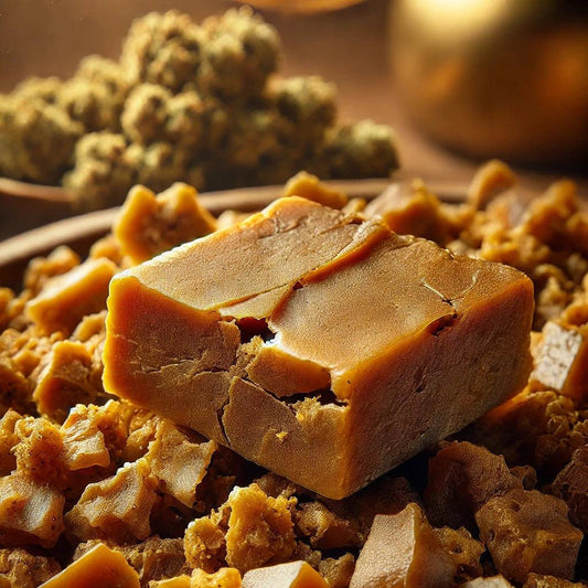 Ketama Gold Pollinat - High Standards