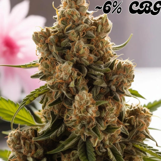 Green Dream CBG - High Standards