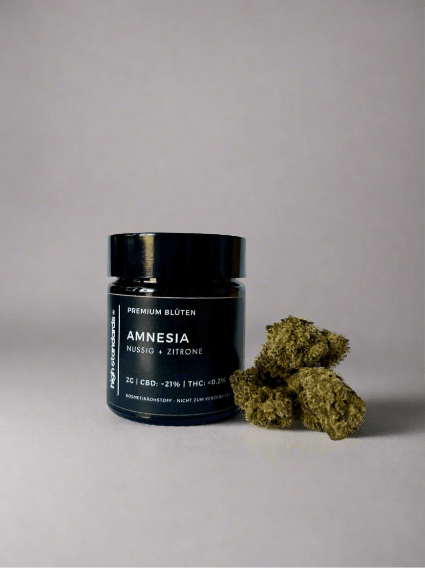 Amnesia - High Standards