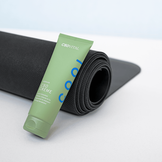 Kühlende CBD Creme - High Standards