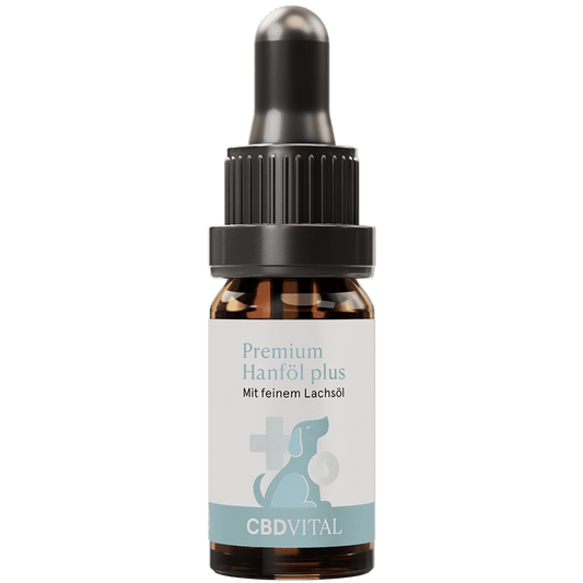 Premium CBD Öl für Hunde (4,2%) - High Standards