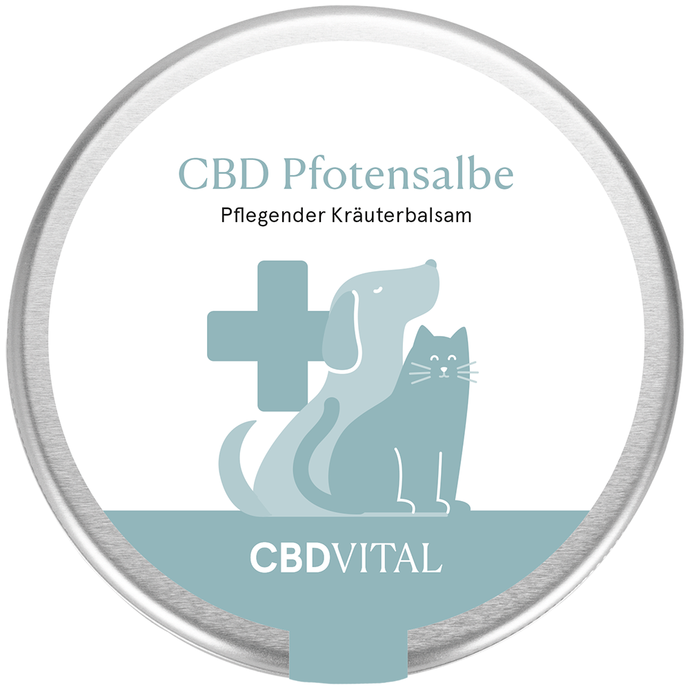 CBD Pfotensalbe - High Standards