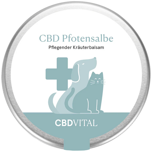 CBD Pfotensalbe - High Standards