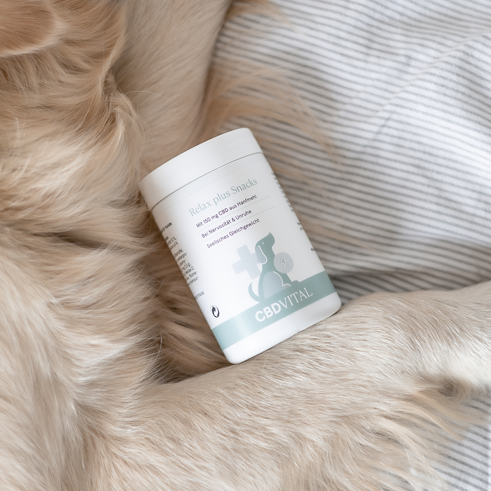Relax plus Snacks für Hunde - High Standards