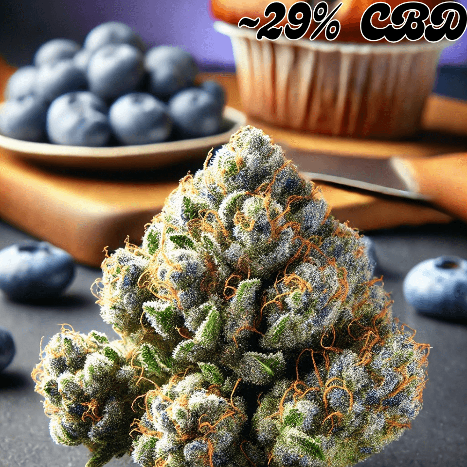 Blueberry Muffin - High Standards