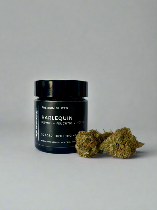 High Standards CBD Blüten neben einem schwarzen Gläschen mit der Aufschrift CBD Premium Blüten Harlequin