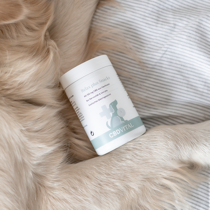 Relax plus Snacks für Hunde - High Standards