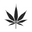 High Standards logo