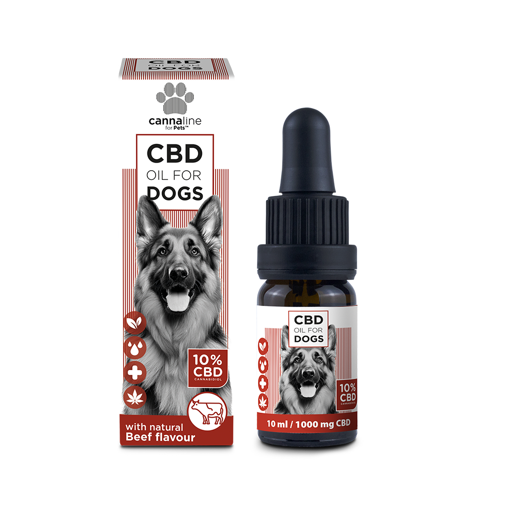 CBD Öl für Hunde 10%