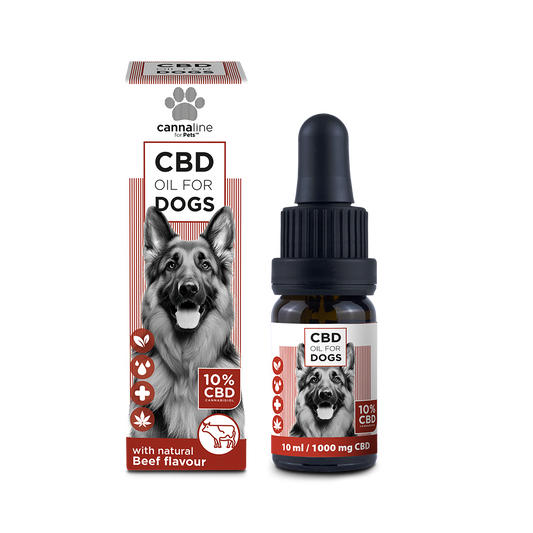 CBD Öl für Hunde 10%