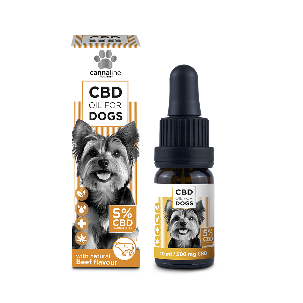 CBD Öl für Hunde 5%