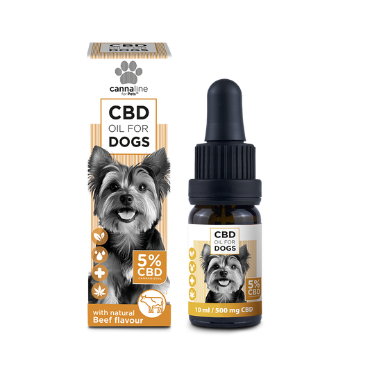 CBD Öl für Hunde 5%